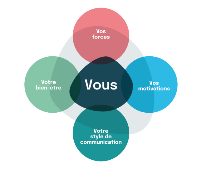 individual schematic france