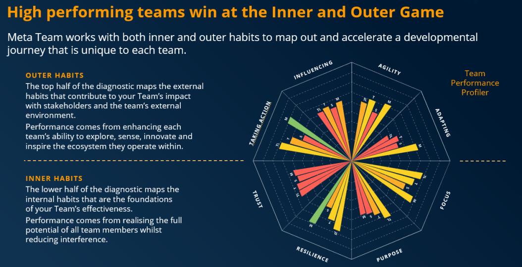 High performing teams model - Inner and Outer Game