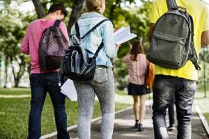 Het Studiekeuzeprobleem in Nederland