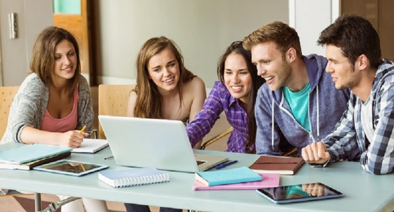 Jong Professional: het zoeken naar een baan is als het zoeken naar een naald in een hooiberg