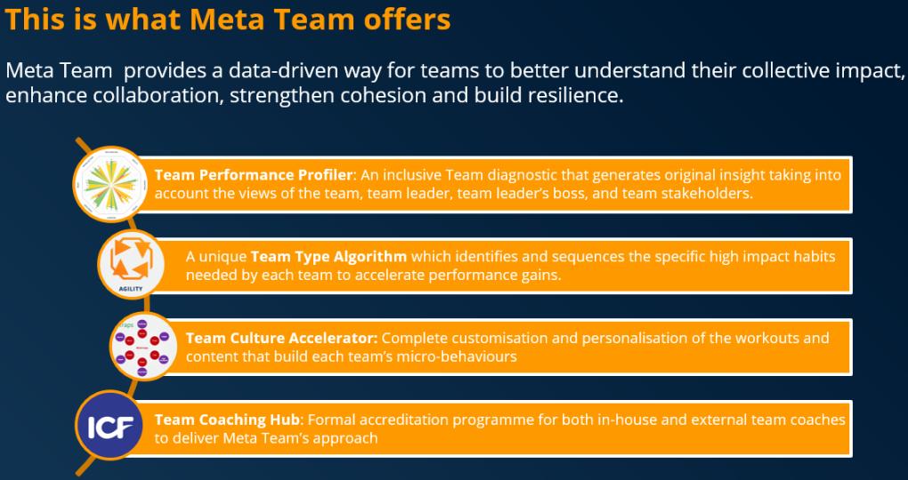 What does Team Meta offer for businesses?